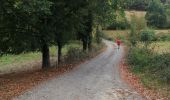 Excursión Senderismo Montredon-Labessonnié - Sur les pas de nos ancêtres  - Photo 19