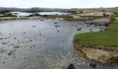 Trail On foot Māngere-Ōtāhuhu - Watercare Coastal Walkway - Photo 2