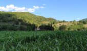 Tour Zu Fuß Dicomano - Sorgenti di Firenze Trekking – Anello 4: Architetture rurali e campagna toscana - Photo 8