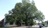 Tocht Te voet Onbekend - Z Kaiserplatz - Menden - Photo 4