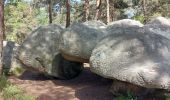 Excursión Senderismo Fontainebleau - barbizon  - Photo 1