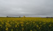 Trail Walking Saint-Aubin-Épinay - 20220405-Epinay - Photo 20