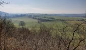 Tour Wandern Houyet - Custinne 080321 - Photo 2