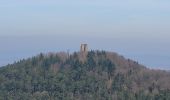 Trail Walking Reinhardsmunster - Reinhardsmunster - château Ochsenstein - tour du Brotsch - Photo 15