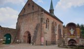 Tour Wandern Wangenburg-Engenthal - Le donjon du Wangenbourg - Photo 1