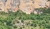 Excursión Senderismo Massegros Causses Gorges - le rozier  - Photo 1