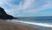Trail Walking Argelès-sur-Mer - racou - collioure - racou / en boucle - Photo 8