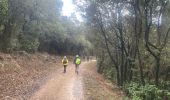 Tocht Stappen Valflaunès - Les crêtes de l’Hortus à partir de Valflaunes - Photo 3