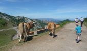 Percorso A piedi Cangas de Onís - Wikiloc Lagos de Cavadonga - Photo 19