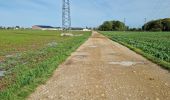 Randonnée Marche Chauffour-lès-Étréchy - Chauffour-lès-Etréchy Coteau des Verts Galants - Photo 11