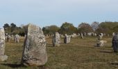 Tour Mountainbike La Trinité-sur-Mer - Trinité Sur Mer et la presqu'ile de Quiberon - Photo 4