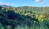 Trail Walking Le Lorrain - Boucle Vallon - Moreau - Carabin - Chemin Etoile - Photo 13