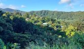 Excursión Senderismo Le Lorrain - Boucle Vallon - Moreau - Carabin - Chemin Etoile - Photo 13