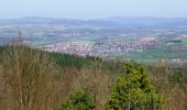 Tour Zu Fuß Ringgau - Premiumweg P 19 Datterode, Gänsekerleweg - Photo 10