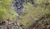 Randonnée Marche Chambon-sur-Lac - Vallée de Chaudefour et cascades  - Photo 3