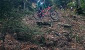 Percorso Mountainbike Celles-sur-Plaine - VTT Celles sur Plaine avec Luca et Fab - Photo 2