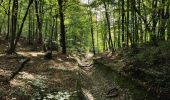 Randonnée Marche Clamart - Tour des etangs - Bois de Clamart et de Meudon - Photo 12