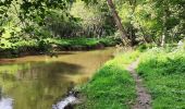 Tour Wandern Hohenfels - Promenade vers la roche plate - Photo 5