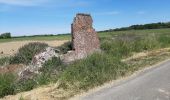 Tocht Stappen Binche - Buvrinnes 20 05 20 - Photo 1