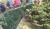 Randonnée Marche Fayence - fayence vallon de la camandre - Photo 14