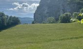 Trail Walking Saint-Laurent-en-Royans - Pont des Chartreux st Laurent en Royans  - Photo 8