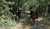 Trail Horseback riding Revest-du-Bion - Provence 2025 J5 - Photo 6