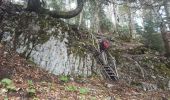 Randonnée Marche Tréminis - Treminis :  Montagne de Paille, col de la Croix. - Photo 14