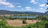 Tour Wandern Matafelon-Granges - les 2 vallées sous la mousse ... - Photo 20