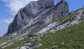 Tocht Stappen Villard-de-Lans - pas de .l'oeille  - Photo 4