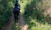 Tocht Paardrijden Montsauche-les-Settons - 1er jour lac des settons  - Photo 3