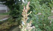 Tour Wandern Elbeuf-sur-Andelle - 20220823-Elbeuf sur Andelle  - Photo 3