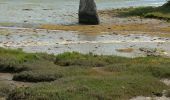 Excursión Senderismo Pont-l'Abbé - Pont l'Abbé et l'estuaire de la rivière (fleuve côtier) du même nom - Photo 1