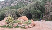 Tocht Stappen Le Muy - Le rocher de roquebrune  - Photo 16