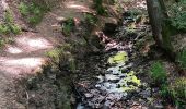 Trail Walking Liège - deuxième sortie de qwadrifyon  - Photo 4