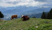 Trail Walking Cordon - LES MOUILLES-PIC NOIR-LA CABANE DU PETIT PATRE - Photo 9
