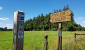 Trail Walking Monschau - Montjoie - Ternell en ligne - Photo 7