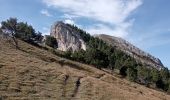 Trail Walking Château-Bernard - tête des chaudières et rocher de la Balme  - Photo 15