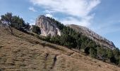 Tocht Stappen Château-Bernard - tête des chaudières et rocher de la Balme  - Photo 15