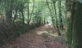 Trail Walking Quistinic - PR_56_Quistinic_AA_01_Poul-Fetan_Circuit1b_20230909 - Photo 10