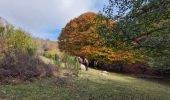 Tocht Stappen Mosset - MOSSET -au-dessus de Mosset - Photo 9