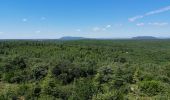 Tour Wandern Goudargues - boucle au départ du Saint Michelet  - Photo 4