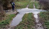 Tocht Stappen Vézelise - vezelise omelmont houdreville - Photo 10