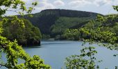 Trail Walking Stavelot - Coo Tour lac - Photo 9