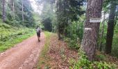 Trail Walking Orbey - Autour du Linge - Photo 19