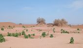 Tour Wandern M'Hamid El Ghizlane ⵎⵃⴰⵎⵉⴷ ⵍⵖⵯⵣⵍⴰⵏ امحاميد الغزلان - Campement 3 au Campement 4 - Photo 10