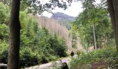 Excursión Senderismo Hřensko - Randonnée en Suisse Bohème  - Photo 1