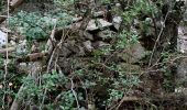 Trail Walking Signes - Amaris anne marie - Photo 1