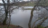 Tour Wandern Perpezat - Le Puy Gros 1485m 3.5.24 - Photo 2