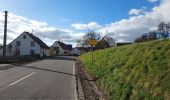 Trail Walking Blieskastel - Brenschelbach (D) 7 km 230225 - Photo 1