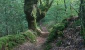 Trail Walking Pluneret - PR_56_Pluneret_DA_05_La-Vallee-Du-Leran_Circuit3b_20230917 - Photo 5